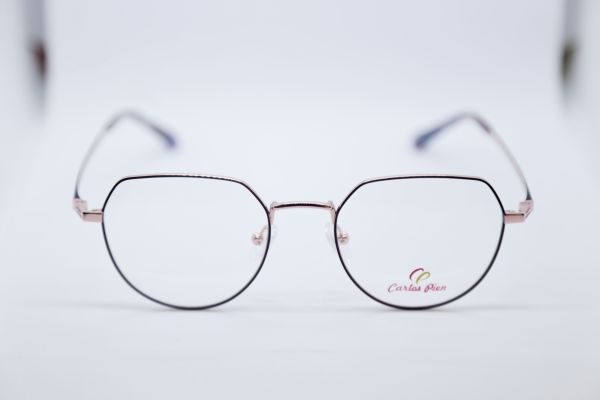 CARLOS PIEN CP165 C2 51