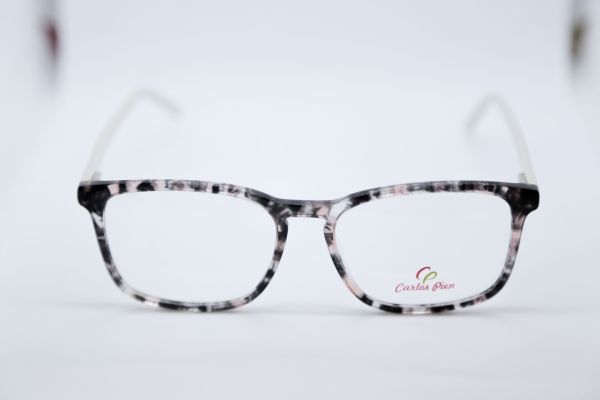 CARLOS PIEN CP131 C2 53