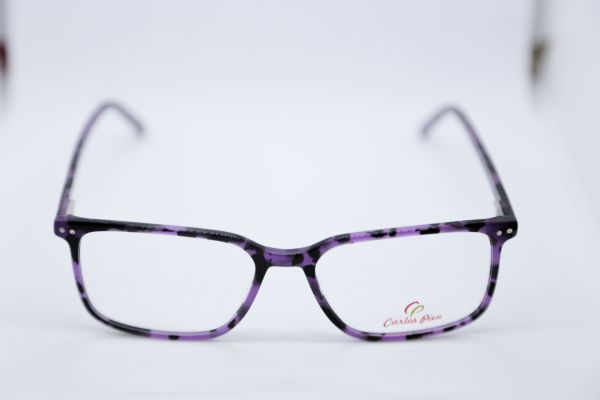 CARLOS PIEN CP133 C2 54