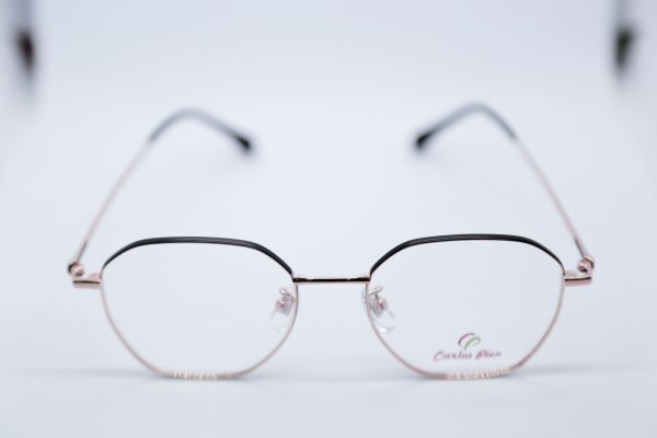 CARLOS PIEN CP104 C2 50